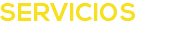 SERVICIOS